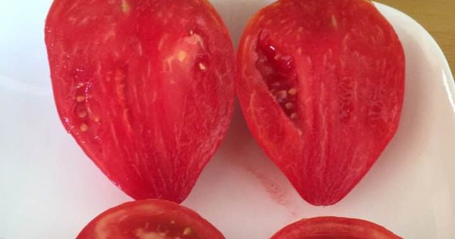 🍅Domatet me hormone dhe ato bio, zbuloni mënyrën efikase për t’i dalluar lehtë perimet e shëndetshme🍅