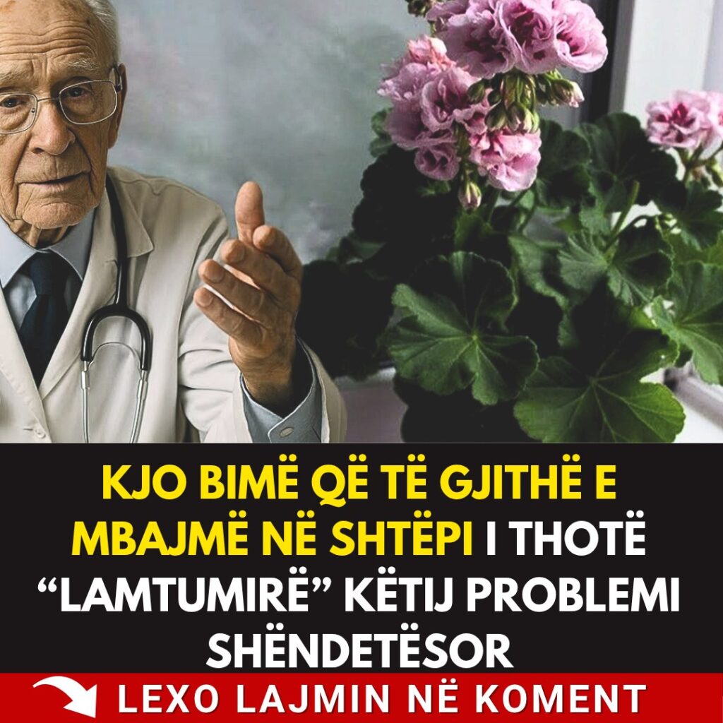 Kjo bimë që të gjithë e mbajmë në shtëpi i thotë “lamtumirë” këtij problemi shëndetësor