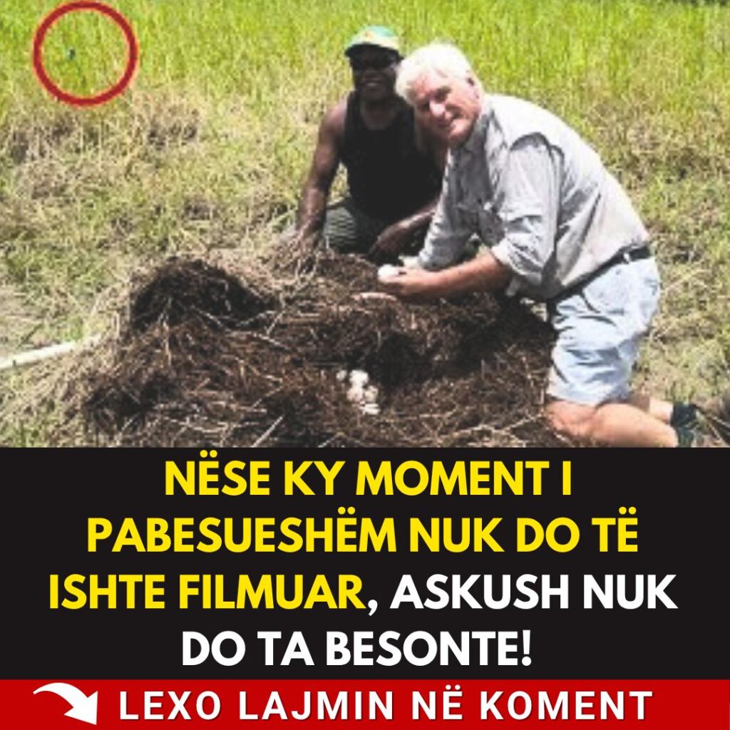 Nëse ky moment i pabesueshëm nuk do të ishte filmuar, askush nuk do ta besonte!
