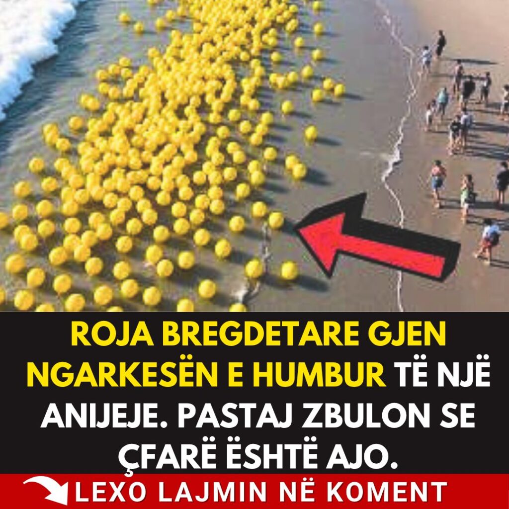 Roja Bregdetare gjen ngarkesën e humbur të një anijeje. Pastaj zbulon se çfarë është ajo.